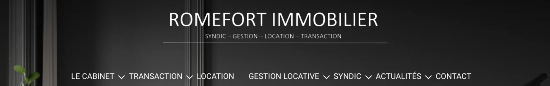 image de couverture de Romefort Immobilier