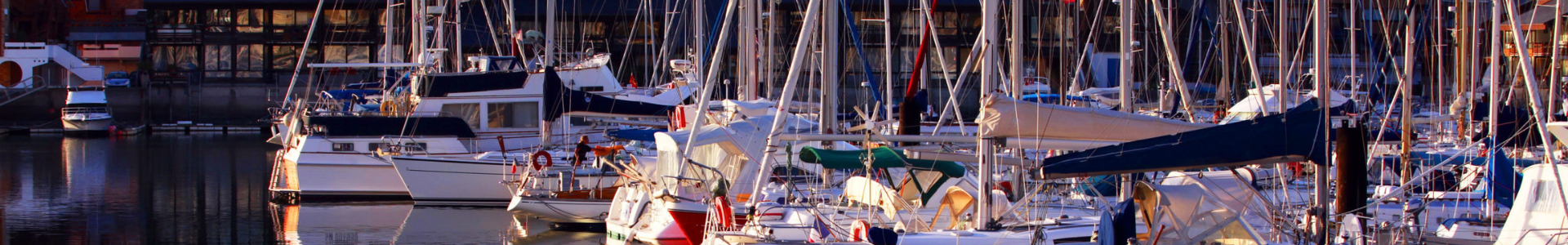 image de couverture de Interplages Immobilier