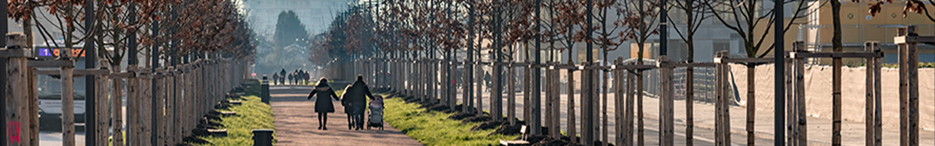 image de couverture de Comptoir Immobilier Belle-Terre