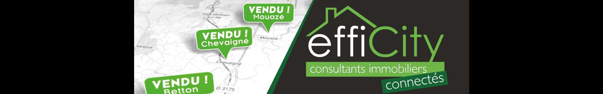 Image de couverture de efficity immobilier - Francois Cloteaux