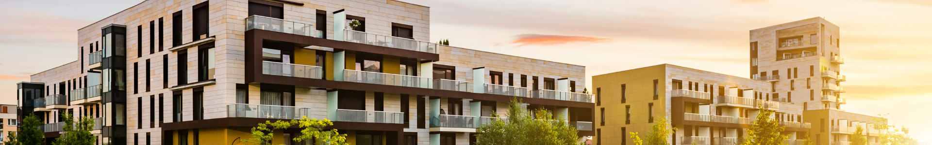 image de couverture de Lutimmo