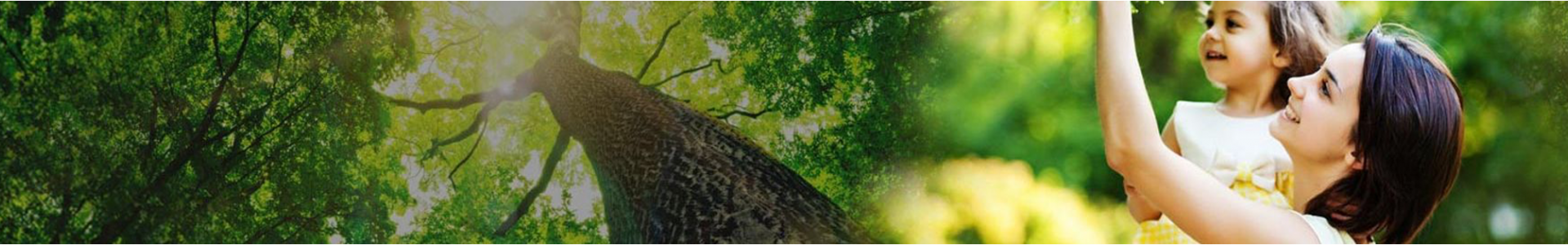 image de couverture de Maisons Akabois