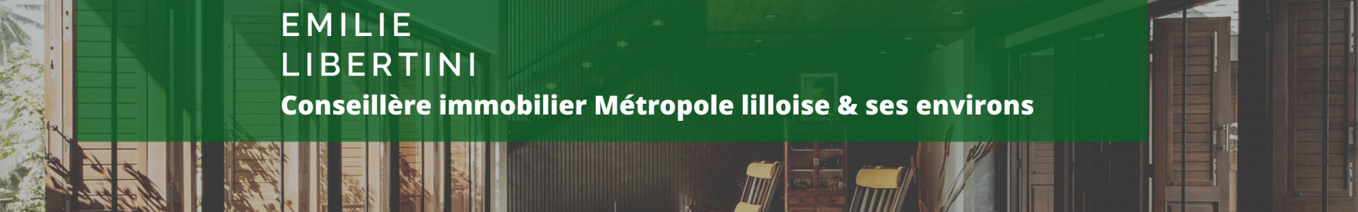 Image de couverture de efficity - Émilie Libertini