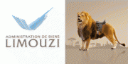 Logo de Administration De Biens Limouzi