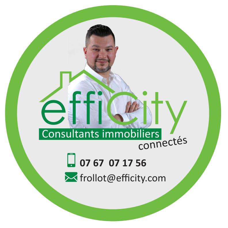 Logo de efficity - Florian Rollot