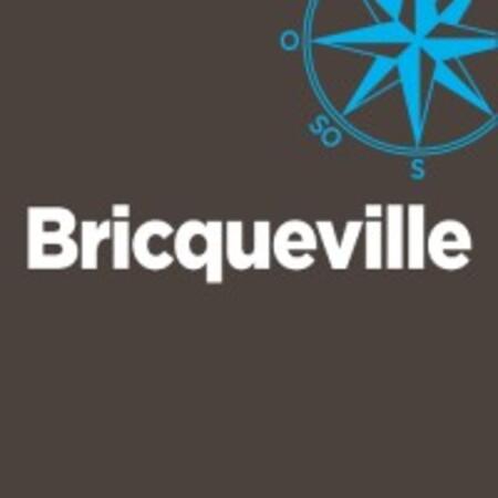 Logo de BRICQUEVILLE