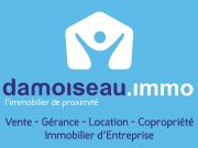 Logo de damoiseau.immo