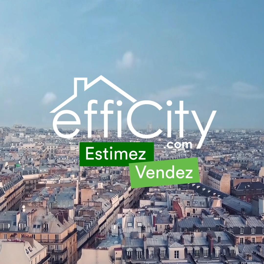 Logo de efficity - Nicolas Henry