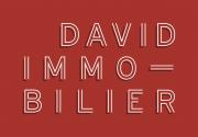 Logo de David Immobilier