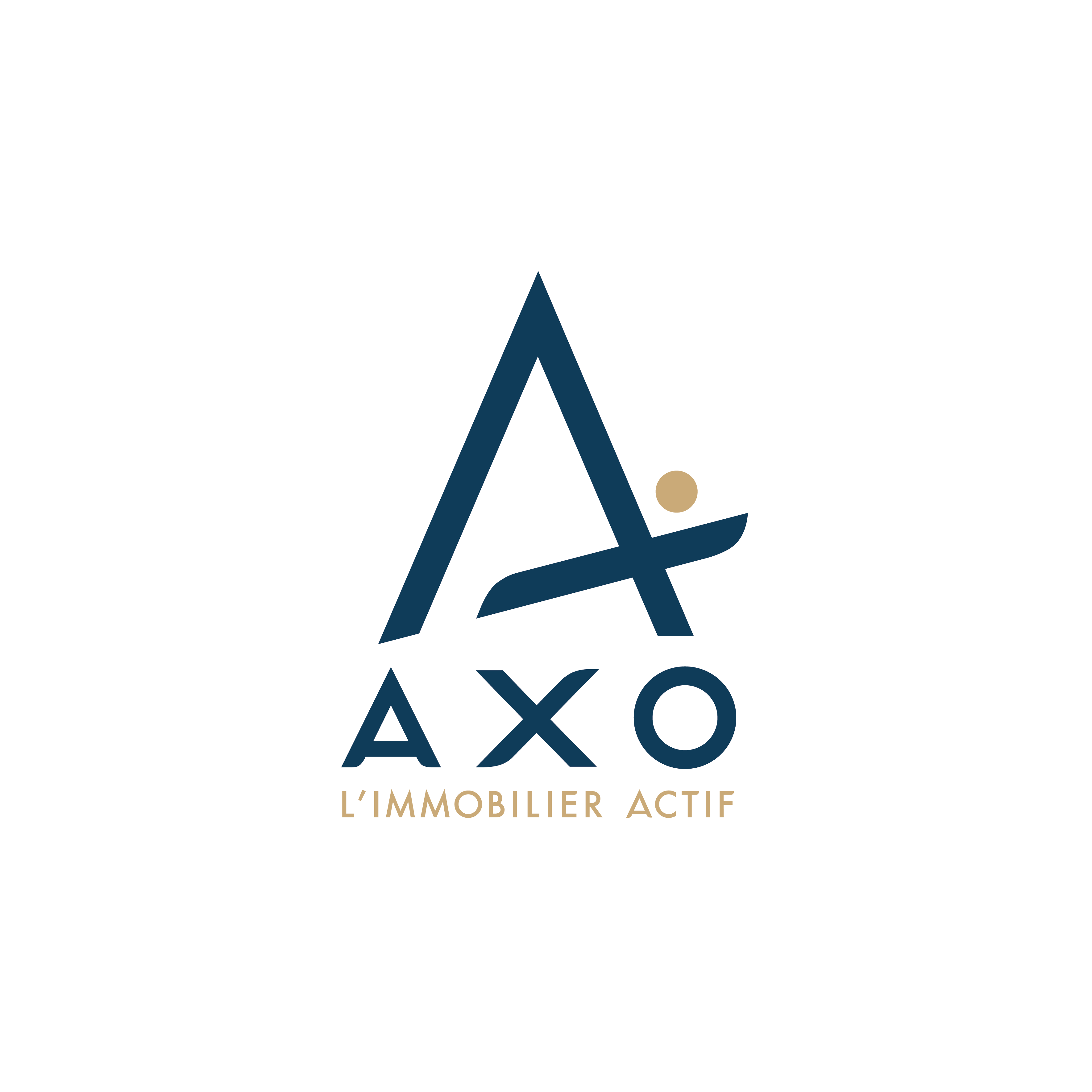Logo de AXO - L'immobilier Actif - Ludivine BOSSU