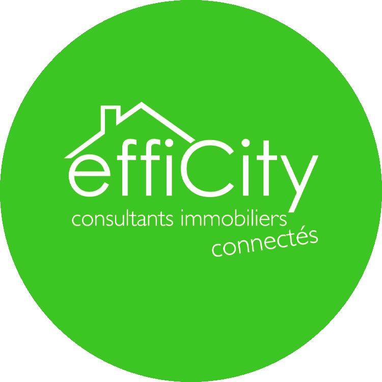 Logo de effiCity - Emmanuelle Rosset