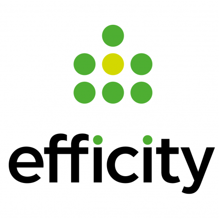 Logo de effiCity - Cécile Combe