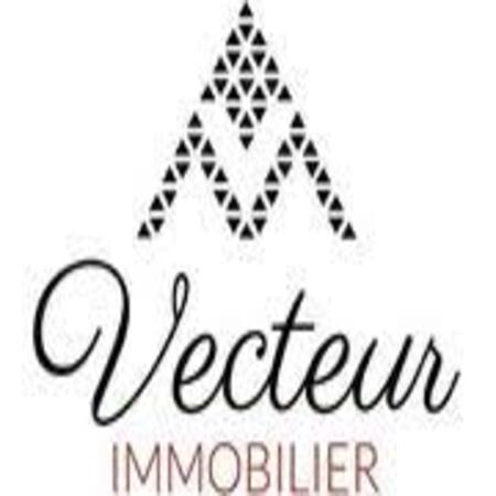 Logo de Vecteur-Immobilier