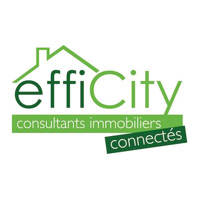 Logo de efficity - Delphine Abisror
