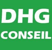 Logo de DHG Conseil