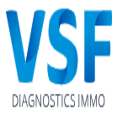 Logo de VSF diagnostics immobilier