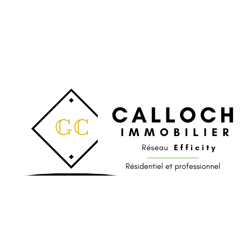 Logo de effiCity - Gwendal Calloch