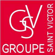 Logo de Groupe Saint Victor Reseau