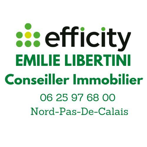 Logo de efficity - Émilie Libertini